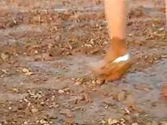 Mèo chiến đấu khiêu dâm